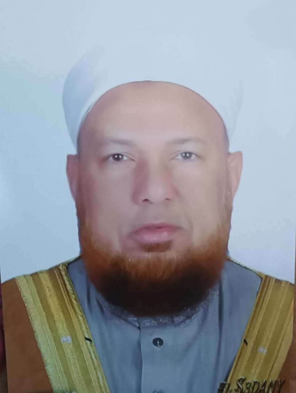 أبو بكر محمد السيد الحنبلي